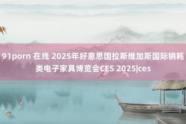 91porn 在线 2025年好意思国拉斯维加斯国际销耗类电子家具博览会CES 2025|ces