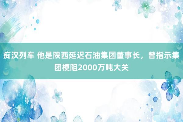痴汉列车 他是陕西延迟石油集团董事长，曾指示集团梗阻2000万吨大关