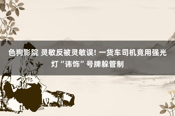 色狗影院 灵敏反被灵敏误! 一货车司机竟用强光灯“讳饰”号牌躲管制