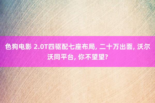 色狗电影 2.0T四驱配七座布局， 二十万出面， 沃尔沃同平台， 你不望望?