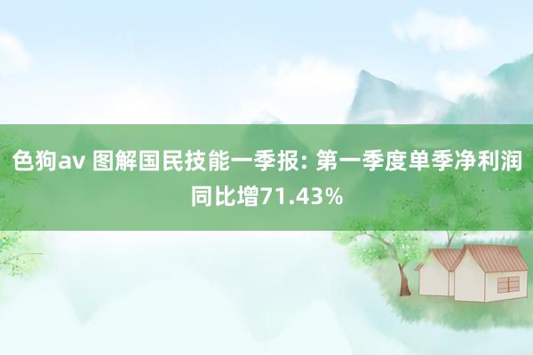 色狗av 图解国民技能一季报: 第一季度单季净利润同比增71.43%
