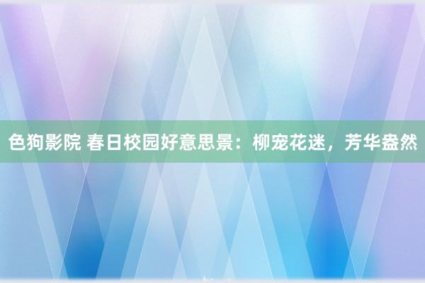 色狗影院 春日校园好意思景：柳宠花迷，芳华盎然
