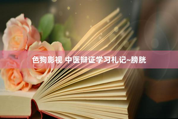 色狗影视 中医辩证学习札记~膀胱