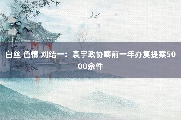 白丝 色情 刘结一：寰宇政协畴前一年办复提案5000余件