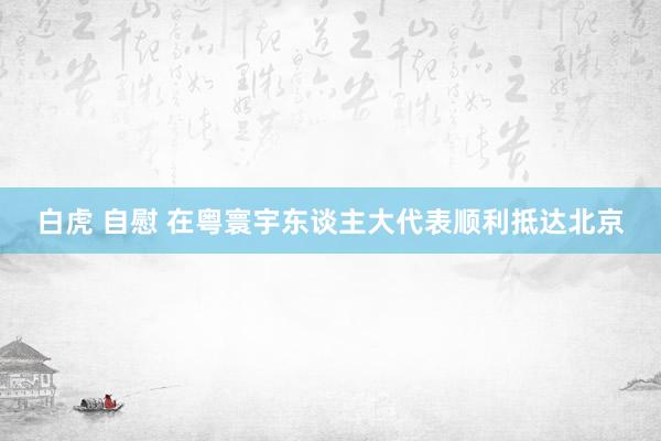 白虎 自慰 在粤寰宇东谈主大代表顺利抵达北京
